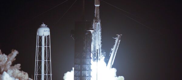Lanzamiento del cohete Falcon Heavy - Sputnik Mundo