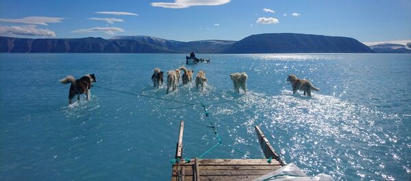 La foto tomada por el climatólogo Steffen M.Olsen durante una misión de rutina en el noroeste de Groenlandia La foto tomada por el climatólogo Steffen M.Olsen durante una misión de rutina en el noroeste de Groenlandia - Sputnik Mundo
