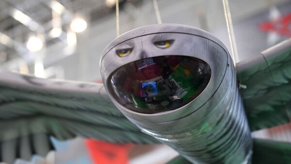 Un 'búho' teledirigido en Army 2019 - Sputnik Mundo