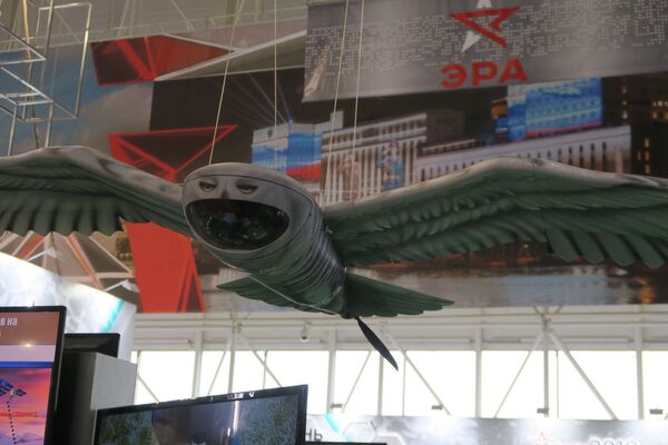 'Aves' para la inteligencia: presentan un 'búho' teledirigido en Army 2019 'Aves' para la inteligencia: presentan un 'búho' teledirigido en Army 2019 - Sputnik Mundo