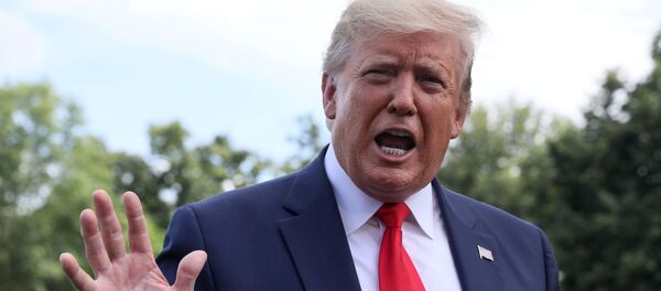 El presidente de EEUU, Donald Trump - Sputnik Mundo