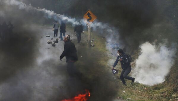 Bloqueo de la carretera por productores de coca en Bolivia - Sputnik Mundo
