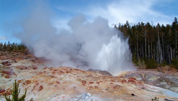 La erupción de géiser Steamboat en el parque nacional de Yellowstone (EEUU) - Sputnik Mundo