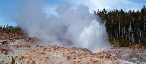 La erupción de géiser Steamboat en el parque nacional de Yellowstone (EEUU) La erupción de géiser Steamboat en el parque nacional de Yellowstone (EEUU) - Sputnik Mundo