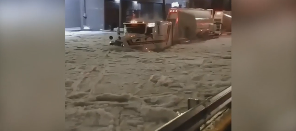 México 'bajo nieve': Guadalajara se abre paso a través de ríos de hielo México 'bajo nieve': Guadalajara se abre paso a través de ríos de hielo - Sputnik Mundo