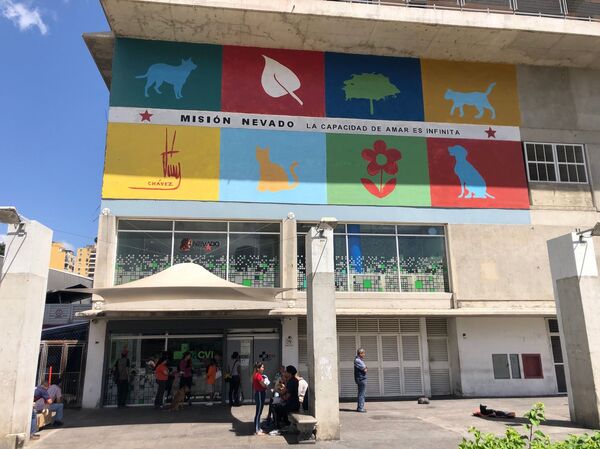 Conoce la misión que atiende animales en Venezuela desafiando el bloqueo - Sputnik Mundo