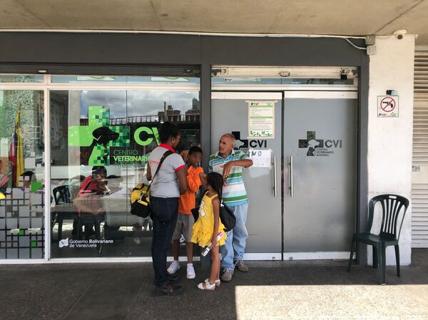 Conoce la misión que atiende animales en Venezuela desafiando el bloqueo - Sputnik Mundo