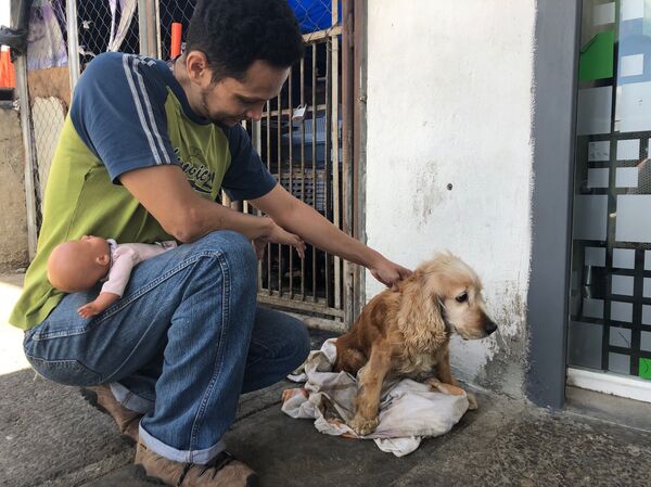 Conoce la misión que atiende animales en Venezuela desafiando el bloqueo - Sputnik Mundo