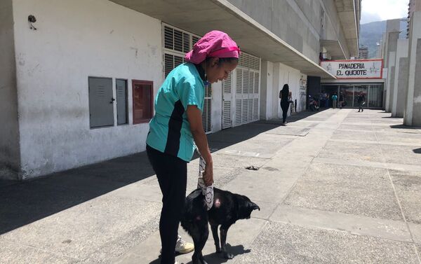 La atención en el centro veterinario integral de Nuevo Circo - Sputnik Mundo