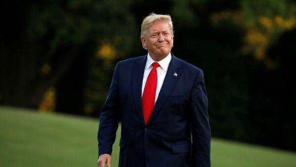 Donald Trump, presidente de EEUU - Sputnik Mundo