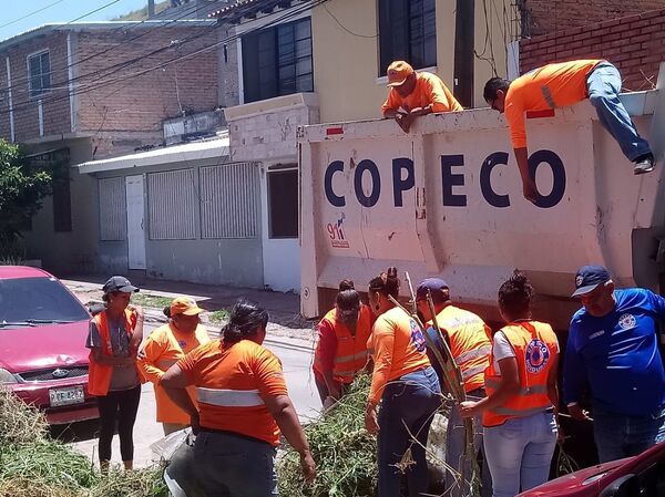 Programas sociales en Honduras lideran plan de emergencia por dengue  - Sputnik Mundo