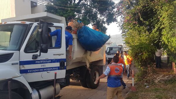 Programas sociales en Honduras lideran plan de emergencia por dengue  - Sputnik Mundo