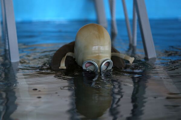 Работа подводных военных водолазов во время показного занятия на полигоне Прудбой Южного военного округа в Волгоградской области - Sputnik Mundo