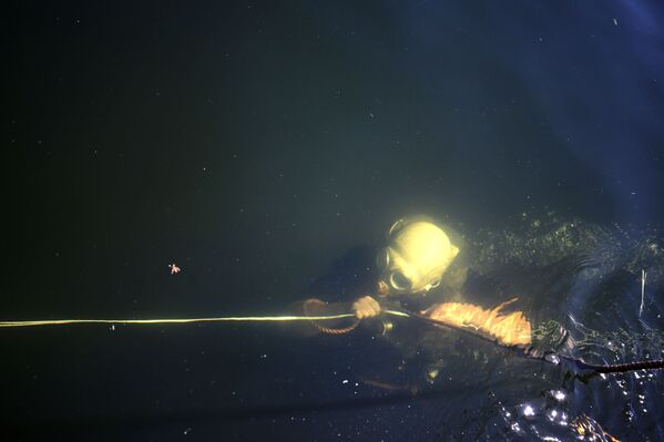 Работа подводных военных водолазов во время показного занятия на полигоне Прудбой Южного военного округа в Волгоградской области - Sputnik Mundo