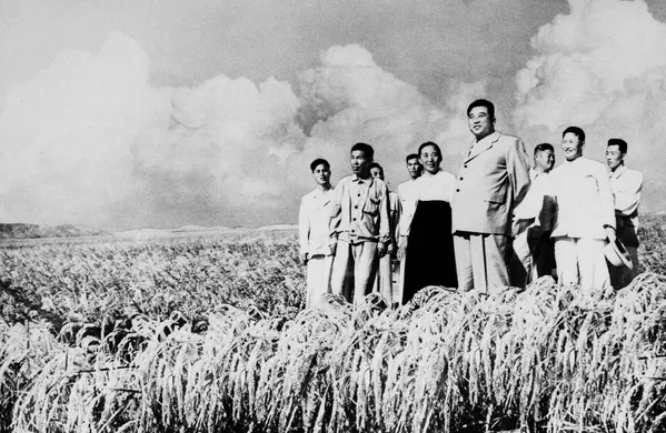 Kim Il-sung: Sol de la Nación y el líder favorito de los norcoreanos - Sputnik Mundo