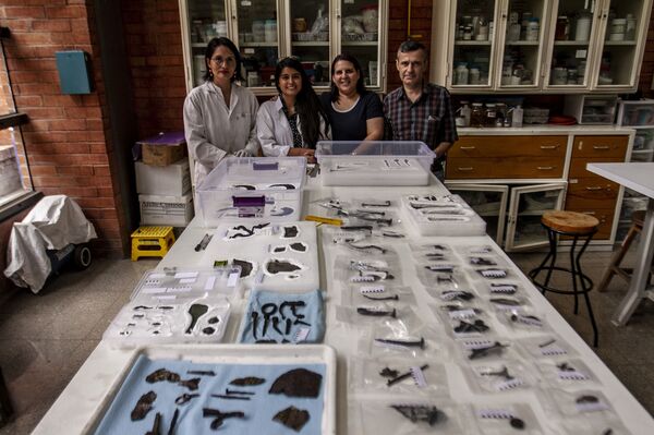 Esto es lo que las piezas de hierro más antiguas de América tienen para enseñarnos (fotos) - Sputnik Mundo