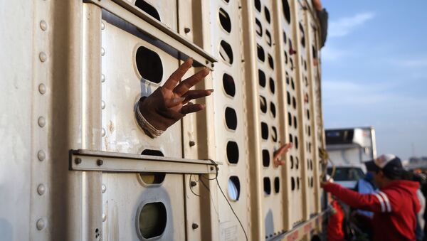 Migrantes centroamericanos dentro de un tráiler en México - Sputnik Mundo