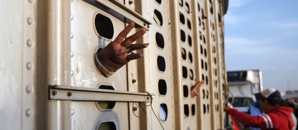 Migrantes centroamericanos dentro de un tráiler en México - Sputnik Mundo