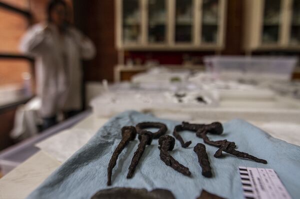 Esto es lo que las piezas de hierro más antiguas de América tienen para enseñarnos (fotos) - Sputnik Mundo