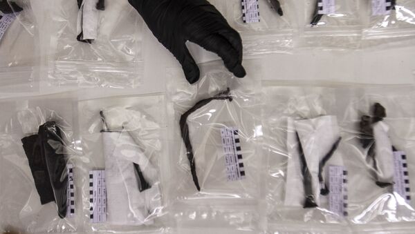 Daniela Lira, profesora del taller de metales muestra una de las primeras piezas de hierro trabajado en América continental - Sputnik Mundo