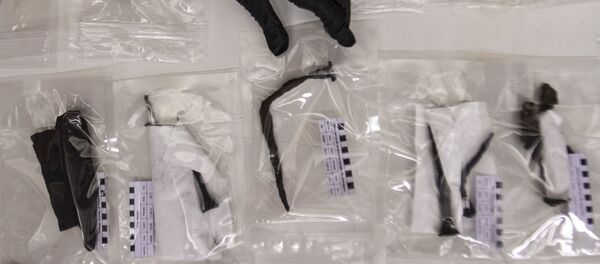 Daniela Lira, profesora del taller de metales muestra una de las primeras piezas de hierro trabajado en América continental - Sputnik Mundo