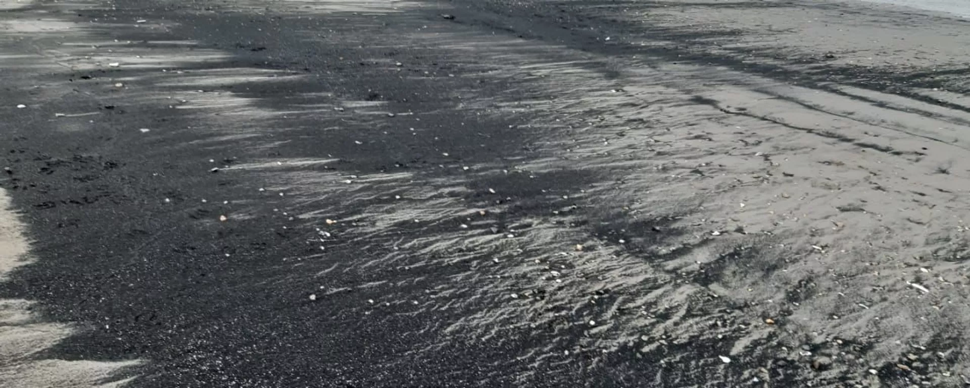 Varamietnos de carbón en la Bahía de Quintero, Chile Varamietnos de carbón en la Bahía de Quintero, Chile - Sputnik Mundo, 1920, 11.07.2019