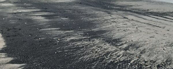 Varamietnos de carbón en la Bahía de Quintero, Chile - Sputnik Mundo