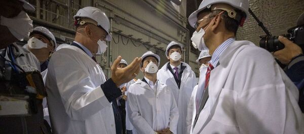 Así es el nuevo sarcófago de la central nuclear de Chernóbil - Sputnik Mundo