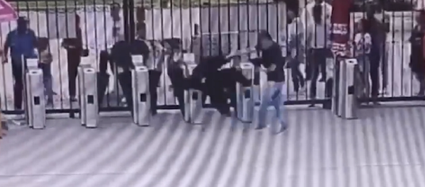 Un chimpancé siembra el pánico entre los visitantes de un zoo - Sputnik Mundo