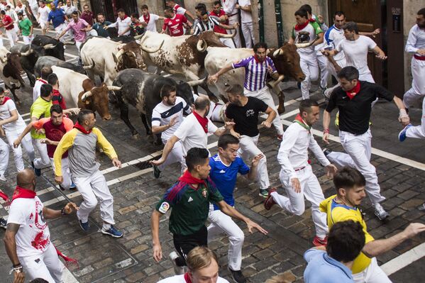 Los toros vuelven a recorrer las calles de Pamplona durante los Sanfermines
 - Sputnik Mundo