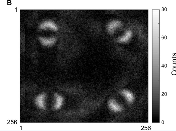 Publican la primera foto del entrelazamiento cuántico - Sputnik Mundo