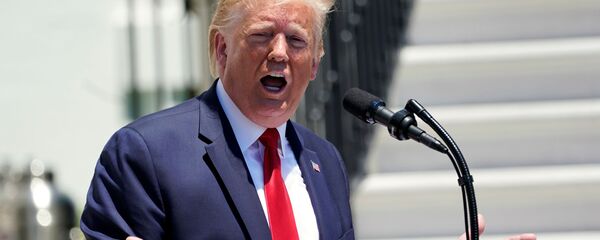 Donald Trump, el presidente de Estados Unidos - Sputnik Mundo