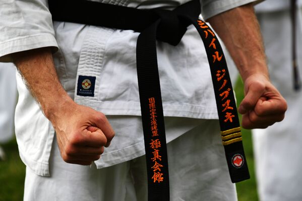 Budo, el legado de Japón en el corazón de Rusia - Sputnik Mundo