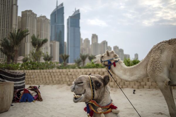 El 'ranking' de las ciudades más seguras del mundo - Sputnik Mundo