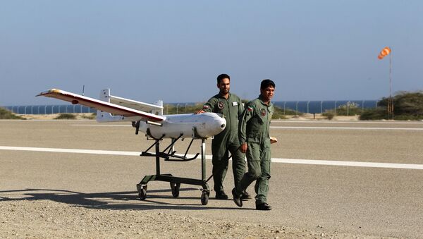 Un dron iraní - Sputnik Mundo