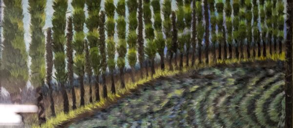 Cuadro en la colección de María Olvido Moreno, elaborado por amantecas - Sputnik Mundo