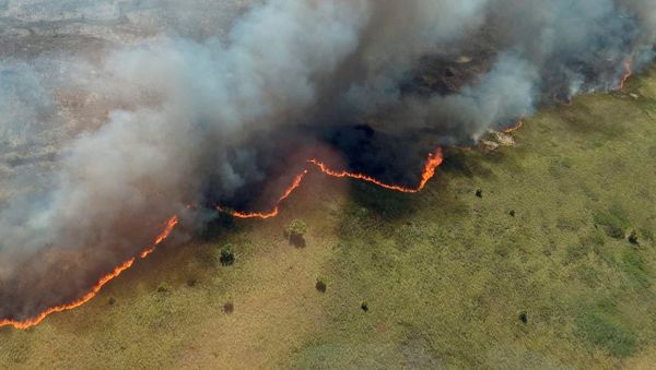 El incendio en reserva de Sian Ka'an El incendio en reserva de Sian Ka'an - Sputnik Mundo