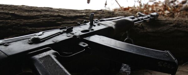 Un arma - Sputnik Mundo