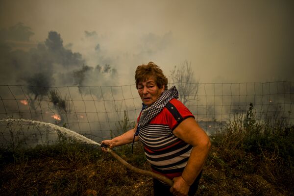 Casas y autos incinerados: Portugal se enfrenta a los incendios forestales
 - Sputnik Mundo