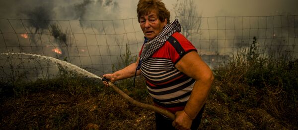 Casas y autos incinerados: Portugal se enfrenta a los incendios forestales - Sputnik Mundo