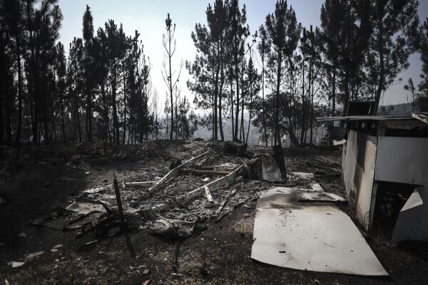 Casas y autos incinerados: Portugal se enfrenta a los incendios forestales
 - Sputnik Mundo