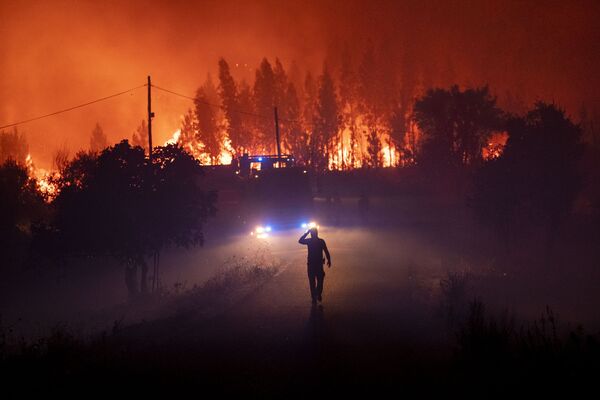 Casas y autos incinerados: Portugal se enfrenta a los incendios forestales
 - Sputnik Mundo