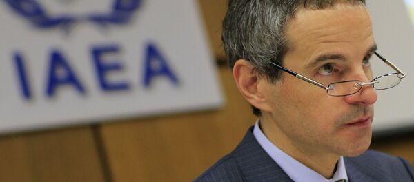 El embajador de Argentina ante organismos de las Naciones Unidas en Viena, Rafael Grossi - Sputnik Mundo