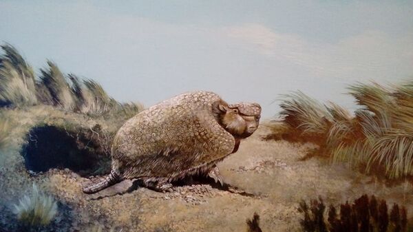 Hallan una cueva prehistórica bajo el patio de una casa en Argentina (fotos) - Sputnik Mundo