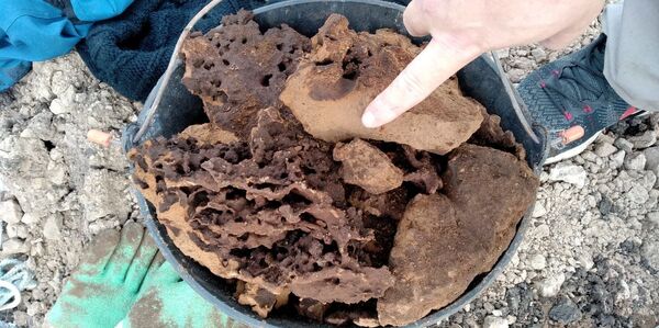 Hallan una cueva prehistórica bajo el patio de una casa en Argentina (fotos) - Sputnik Mundo