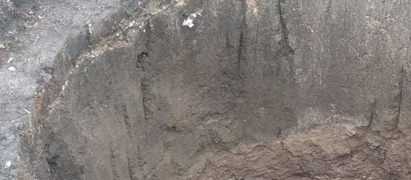 Cueva prehistórica hallada en la localidad de Batán en Buenos Aires - Sputnik Mundo