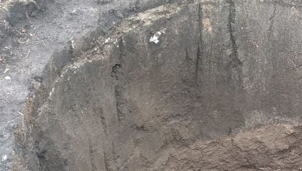 Cueva prehistórica hallada en la localidad de Batán en Buenos Aires - Sputnik Mundo