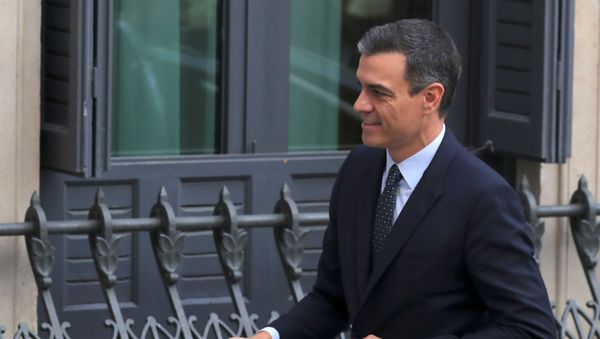 Pedro Sánchez, líder del Partido Socialista Obrero Español (PSOE) Pedro Sánchez, líder del Partido Socialista Obrero Español (PSOE) - Sputnik Mundo