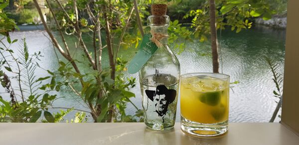 Los asombrosos beneficios del tequila para la salud Los asombrosos beneficios del tequila para la salud - Sputnik Mundo