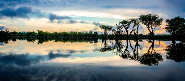 Amazonía (imagen referencial) - Sputnik Mundo